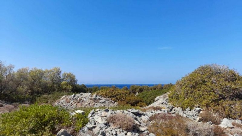 Stavros Kreta, Stavros: Eckgrundstück mit Meerblick zu verkaufen Grundstück kaufen